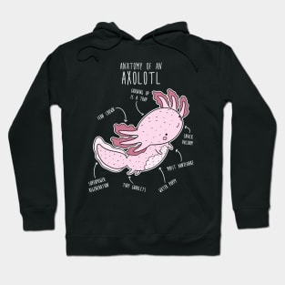 Axolotl Anatomy Hoodie